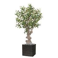 Superbe olivier artificiel tronc noueux H 120 cm en pot avec olives