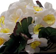 Vasque Carrée de Primevères fleurs artificielles pour le cimetière H 13 cm Lg 17 cm Blanc neige