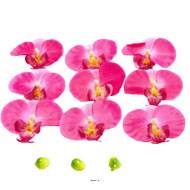 Têtes fleurons Orchidée Phalaenopsis factices x9 3 boutons Rose fushia