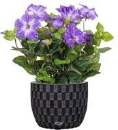 Petunia artificiel Violet en pot H 38 cm 20 fleurs lumineux