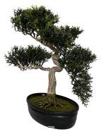 Bonsai artificiel Arbre a The 40 X 40 CM 217 feuilles