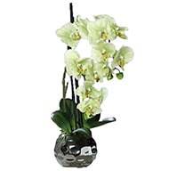 Orchidée factice 2 hampes en boule ceramique Argent H50cm Crème vert