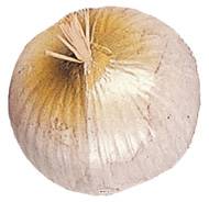 Oignon blanc artificiel en lot de 3 en Plastique soufflé H 75x60 mm
