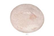 Tomme artificielle fromage en Plastique soufflé D 370x100 mm