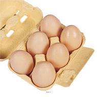 Œufs de poule artificiel en Plastique soufflé L 150x110 mm
