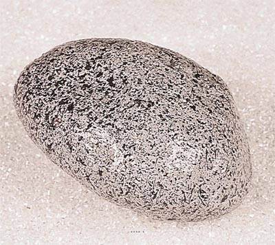 Pierre artificielle type petit galet en Plastique soufflé L 180x80 mm