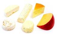 Fromages factices assortis base chvre lot de 6 en Plastique souffl