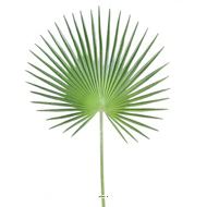 Feuille palmier Chamaerops artificielle H 150 cm D 80 cm polyurethane