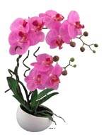 Orchidée factice 2hampes coupe céramique H45cm touché réel Rose fushia