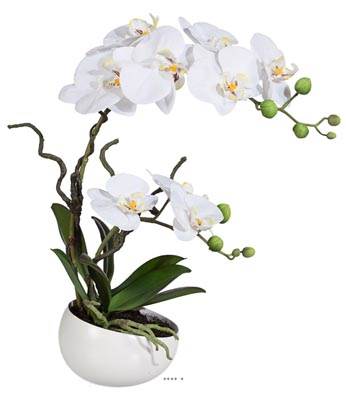 Orchidee factice 2 hampes en coupe ceramique H45cm touché réel Crème