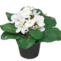 Saint Paulia artificiel en pot H 16 cm trs fleuri Crme