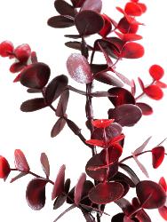 Pic Eucalyptus artificiel H 36 cm plastique extérieur 9 ramures Rouge