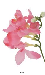 Freesia Factice en tige Fleur des champs H70cm idéale bouquet Rose