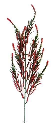 Branche de feuillage artificiel Vert Rouge H 50 cm en plastique
