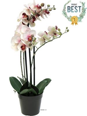 Orchidée Phalaenopsis faux 3 hampes H60 cm Top qualité Rose-crème BEST