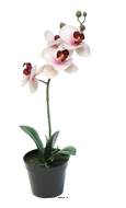 Orchidée Phalaenopsis factice en pot top qualité H35cm Rose-crème-BEST