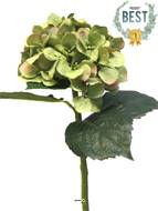 Hortensia artificiel en branche, H 48 cm Crème vert - BEST