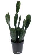 Cactus Opuntia artificiel cactée en pot H 50 cm D 25 cm Qualité Pro