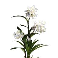 Orchidée Dendrobium factice 3hampes pot céramique H70cm D40cm Crème