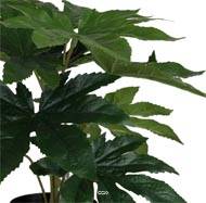 Aralia du Japon artificiel en pot, H 25 cm, D 25 cm