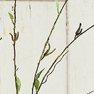 Branche de saule artificiel H 125 cm 9 feuilles