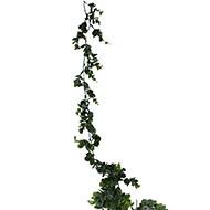 Guirlande d'eucalyptus artificiel L 150 cm en plastique