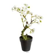 Bonsaï Prunus du japon Artificiel en pot H 27 cm Crème