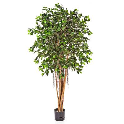 Ficus Retusa artificiel H 150 cm 1440 feuilles en pot