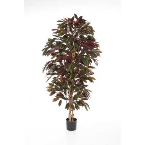 Capensia arbre artificiel H150 cm 816 feuilles Superbe et dense en pot