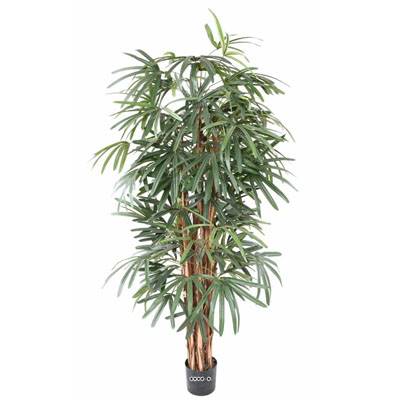 Palmier Raphis Artificiel H 210 cm D 100 cm en pot