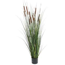 Gramine Verte en pot factice plante eau & 13 quenouille H150cm Marron