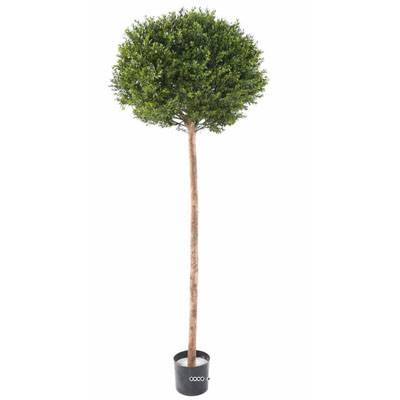 Boule de buis artificiel sur tronc ext anti-UV H 170 cm L 62 cm