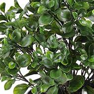 Peperomia artificiel en pot buisson extérieur D 60 cm