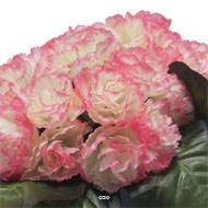Bac carré fleurs artificielles œillets Rose-crème pour la Toussaint