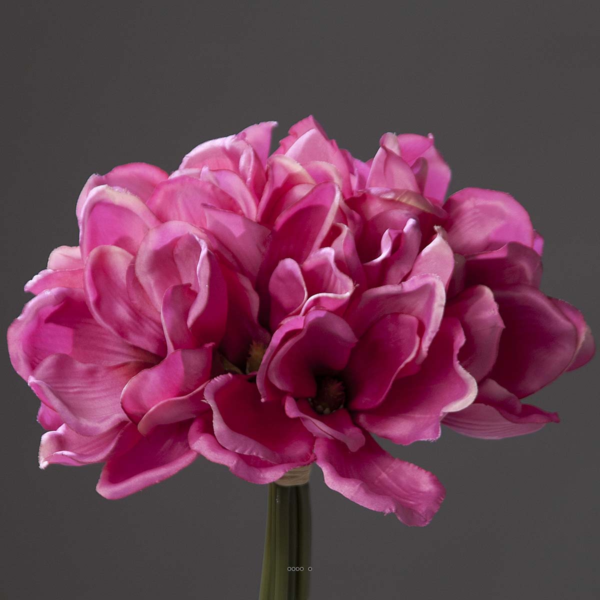 Bouquet de magnolias artificiels Fuchsia 7 têtes Hauteur 24 cm