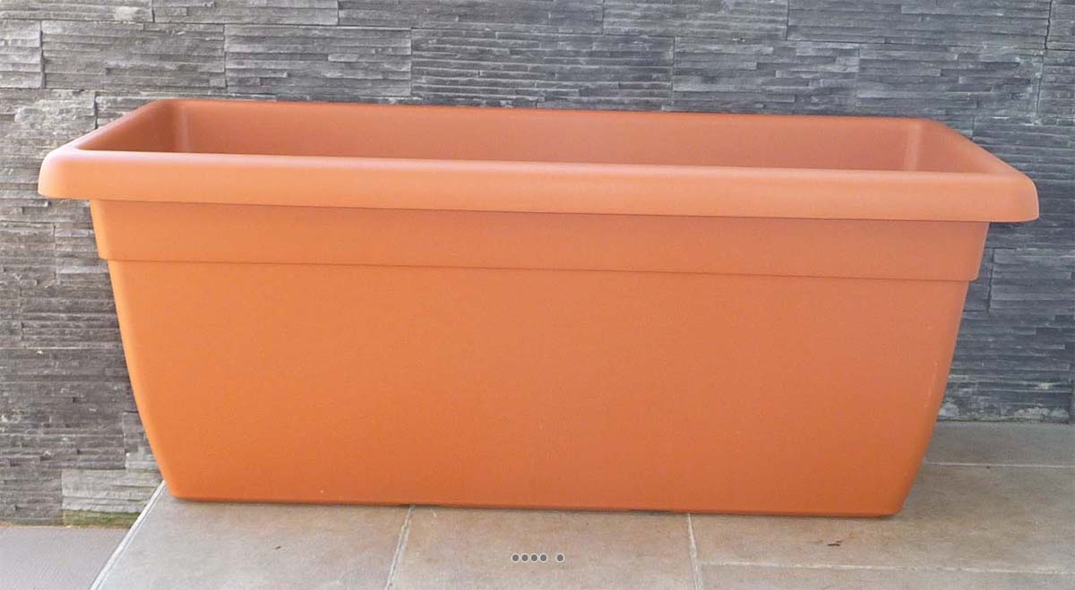 Violon Glossaire exotique jardinieres plastiques exterieures Cinquième