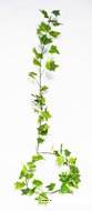 Guirlande de lierre artificiel L190 cm 80 grandes feuilles Blanc-vert