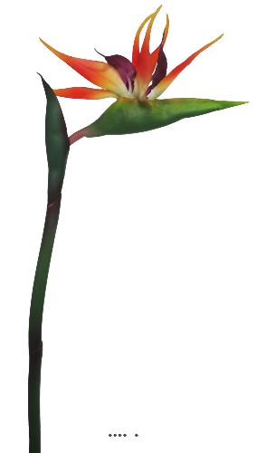 Strelizia Arabica artificiel H 80 cm oiseau du paradis tête latex