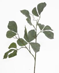 Branche de Parthenocissus artificielle 16 feuilles H 80 cm
