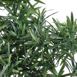 Bonsaï Podocarpus Artificiel H 80 cm D 78 cm en pot