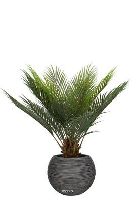 Palmier Cycas artificiel en pot, H 60 cm, D 60 cm