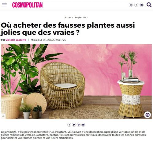 article cosmopolitan