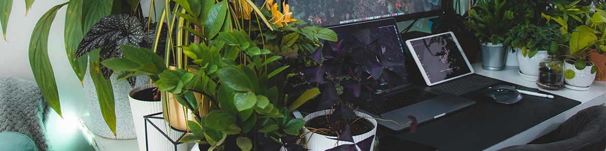 bannire comment dcorer son bureau avec des plantes artificielles ?