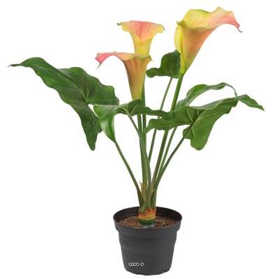 Arum calla artificiel en pot, 3 têtes de fleurs, H 40 cm