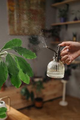 comment nettoyer ses plantes artificielles?