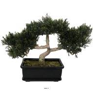 Bonsai artificiel Cedre H18,5cm