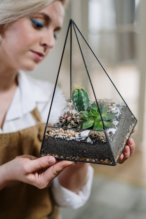 plantes artificielles en terrarium