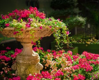 Blog - Comment amnager ses jardinires avec des plantes artificielles ?