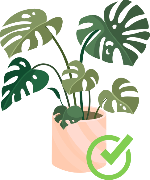 plantes traitées