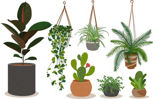 plantes artificielles